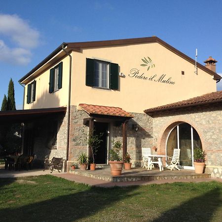 Podere Il Mulino Pieve di Santa Luce Luaran gambar