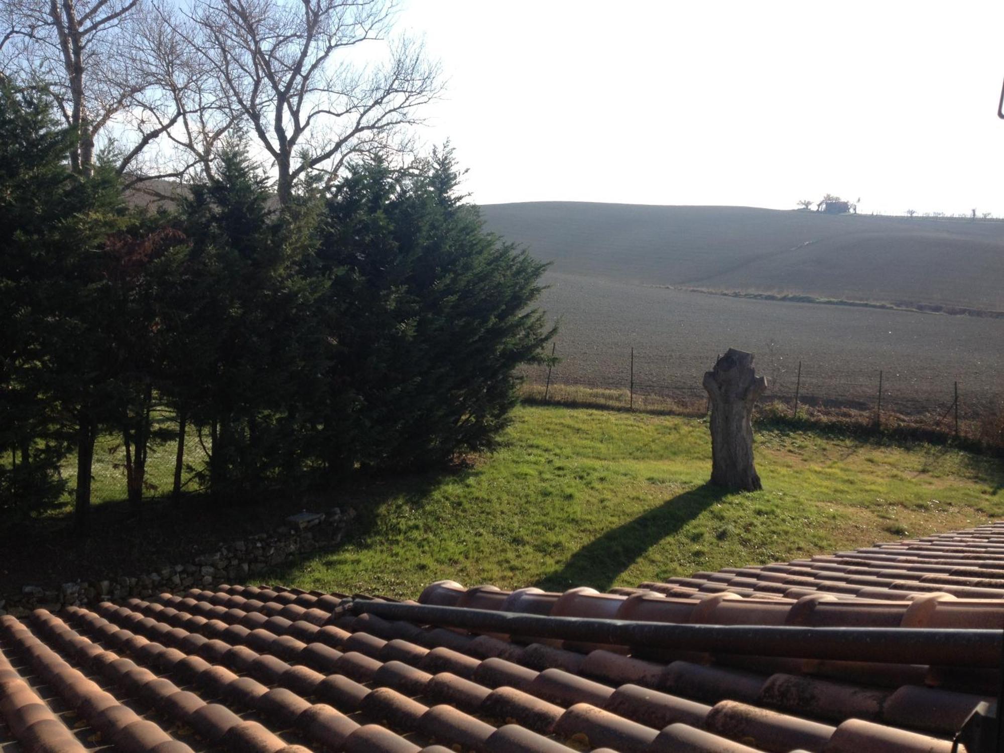 Podere Il Mulino Pieve di Santa Luce Luaran gambar