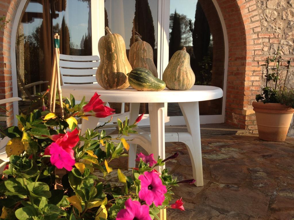 Podere Il Mulino Pieve di Santa Luce Luaran gambar