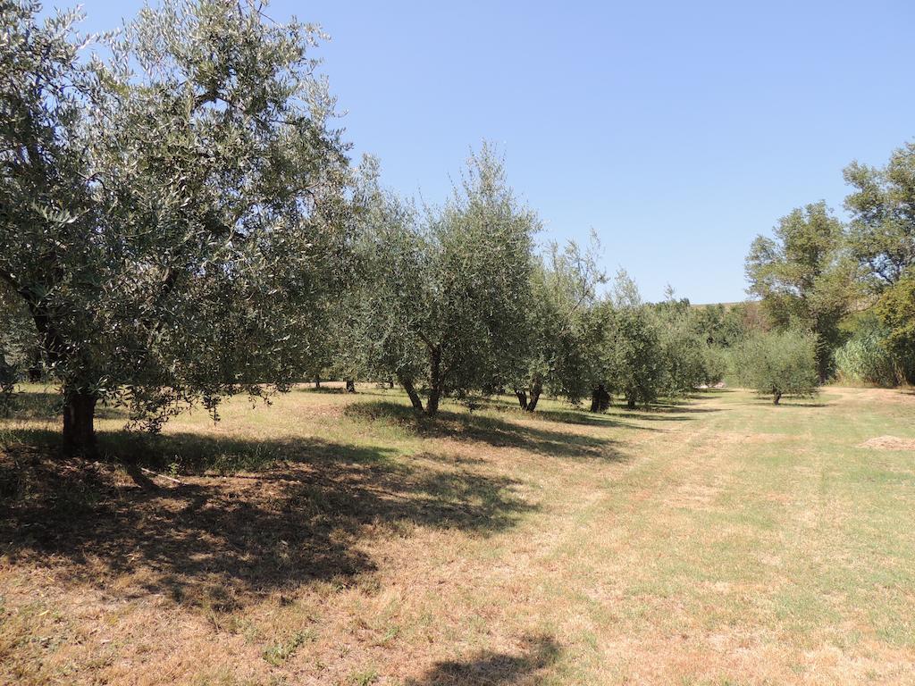 Podere Il Mulino Pieve di Santa Luce Luaran gambar