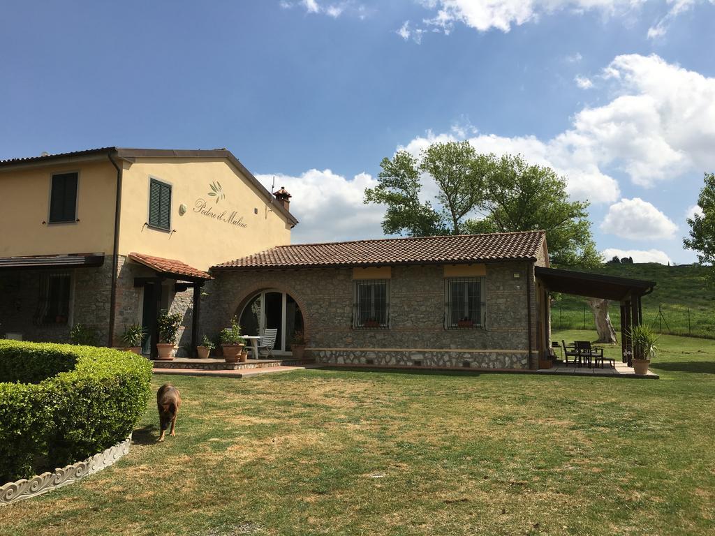 Podere Il Mulino Pieve di Santa Luce Luaran gambar